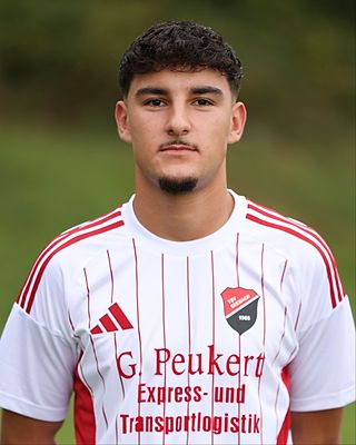 Fabian Schwingenschlögl