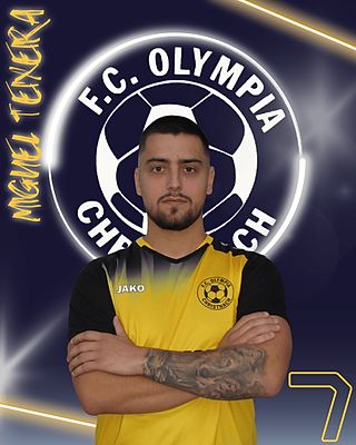 Miguel Teixeira Fernandes