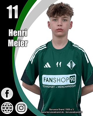 Henri Meier