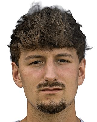 Hannes Reisinger