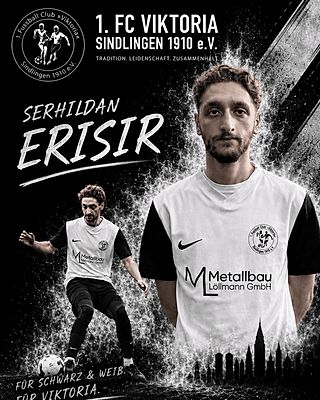 Serhildan Erisir