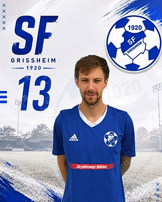 Philipp Haupt