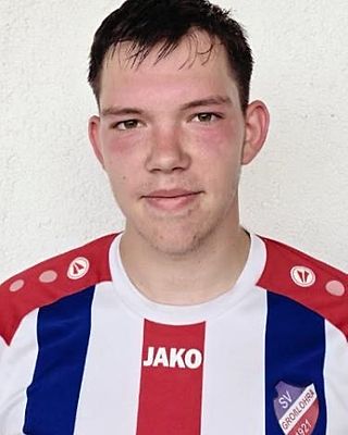 Niklas-Pascal Ausflug