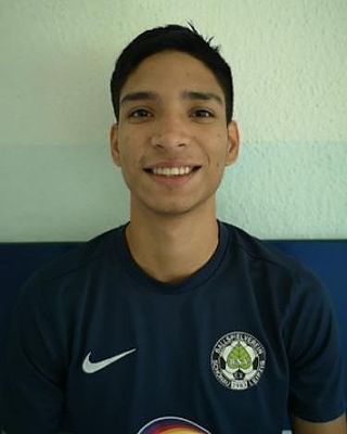 Brian David Pulido Monsalve