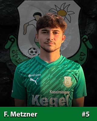 Felix Metzner