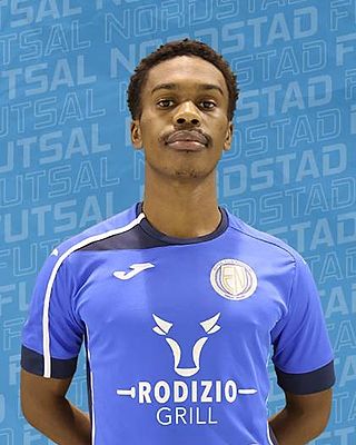 Wilson Tavares Gomes