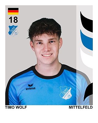 Timo Wolf