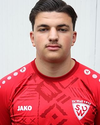 Luca Dormio