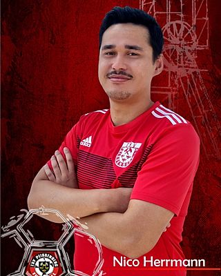 Nico Herrmann