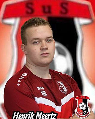 Henrik Meertz
