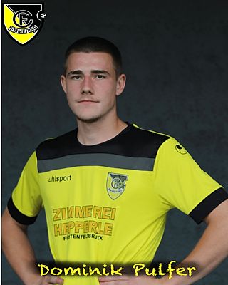 Dominik Pulfer
