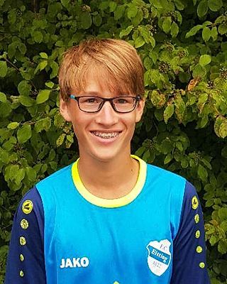 Ludwig von den Stemmen