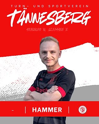 Sandro Hammer