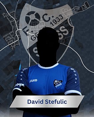 David Stefulic