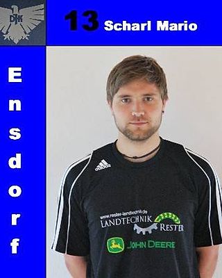 Mario Scharl