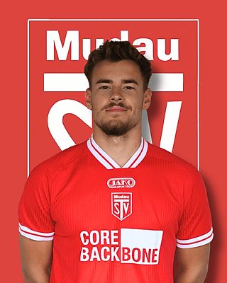 Niklas Gojani