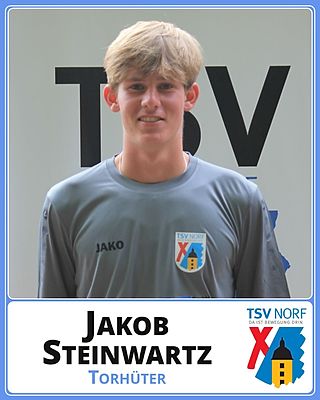 Jakob Steinwartz