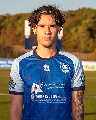 Nelson Ricardo Miranda Goncalves
