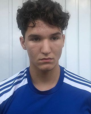 Luan Alilovic