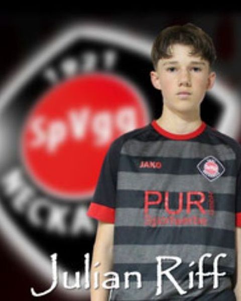 Foto: SpVgg Neckarelz
