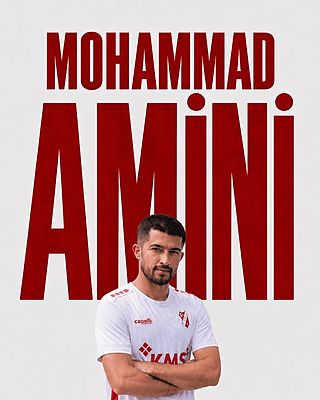 Mohammad Amini