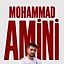 Mohammad Amini