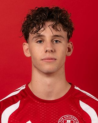 Aaron Mertens