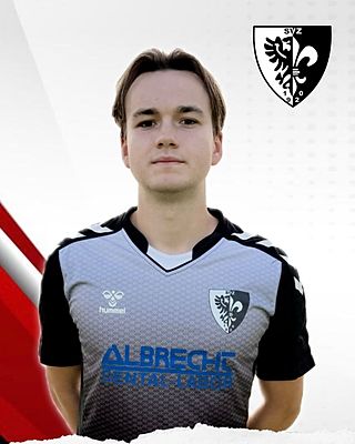 Louis Benedikt Denner