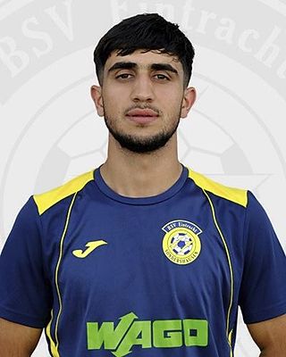 Mohammad Ehsan Shirzad