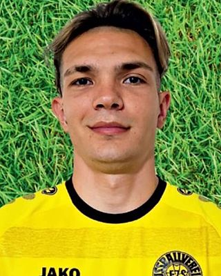 Denis Josan