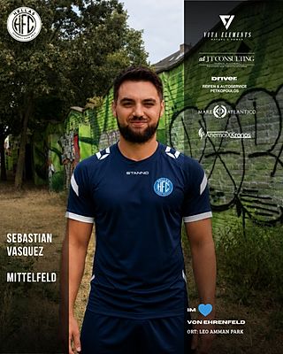 Mario Sebastian Nikolas Vallejos Vasquez