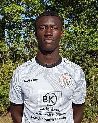 Muhammed Lamin Sanneh