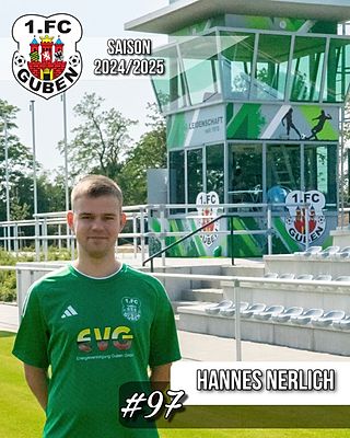 Hannes Nerlich