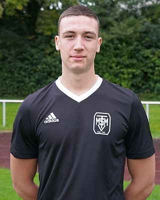 Dimitrije Cvetkovic