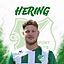 Arthur Hering