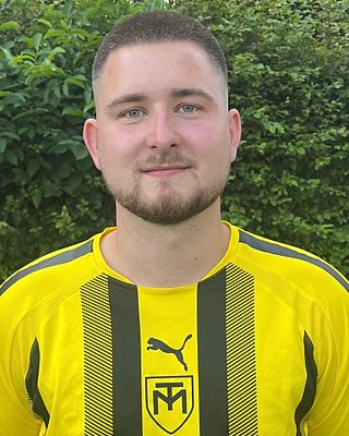 Hendrik-Mattes Büttner