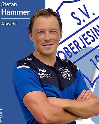 Stefan Hammer