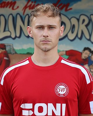 Vincent Leonard Diewerge