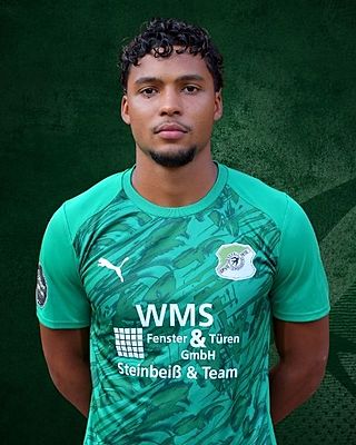 Yan Marcos Friessner Montas