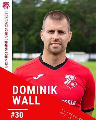 Dominik Wall
