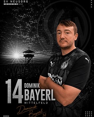 Dominik Bayerl