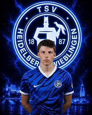 Niklas Strauß