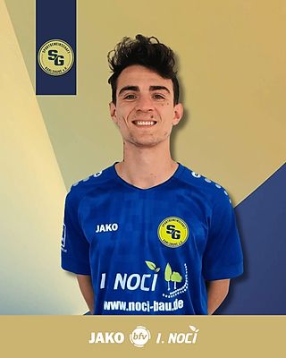 Cristian Soltoian