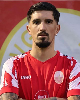 Paulo Alexandre Goncalves Vieira