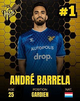 André Barrela Leite