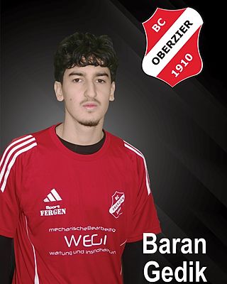 Baran Gedik