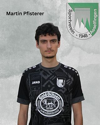 Martin Pisterer