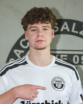 Henning Mattis Krietsch