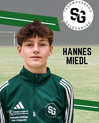 Hannes Miedl