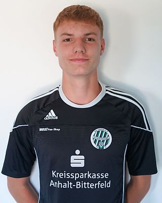 Levin Steffen Schneider